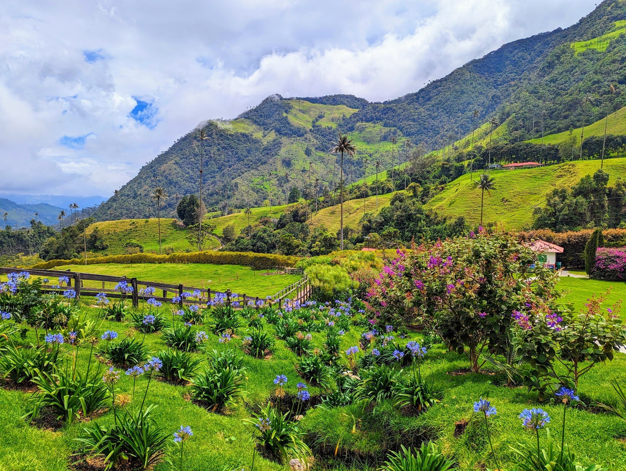 可可拉山谷 · 当地生物多样性